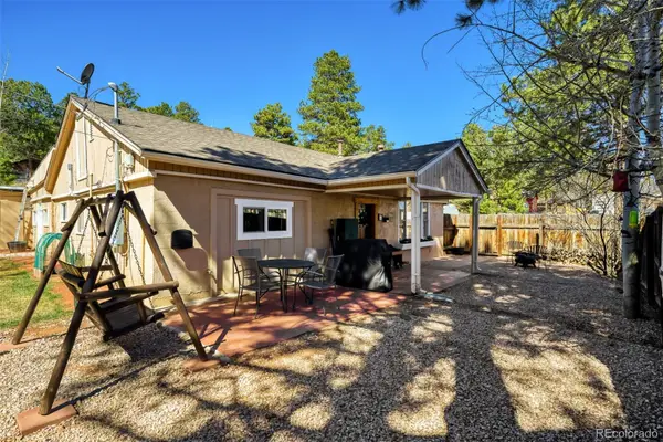 919 W Browning Avenue, Woodland Park, CO 80863