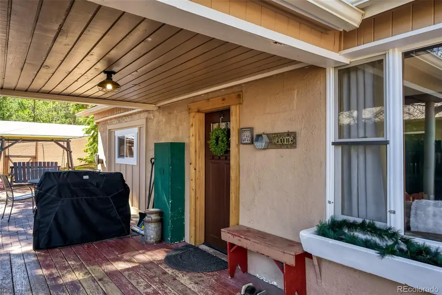 919 W Browning Avenue, Woodland Park, CO 80863 - #2