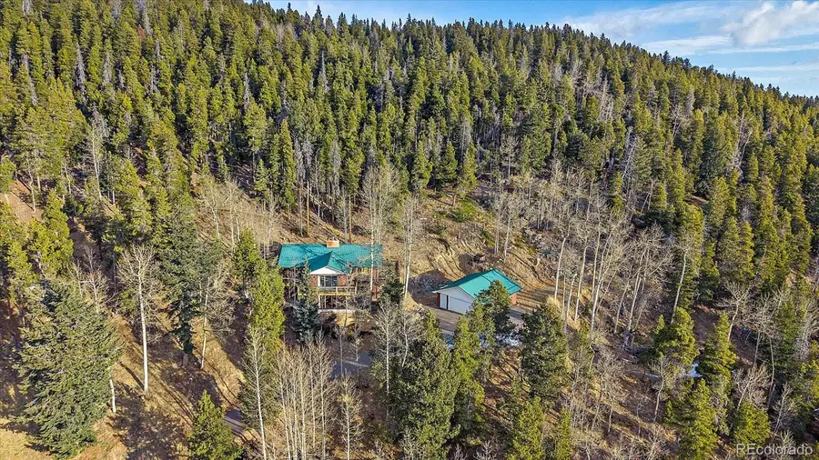 66 Lodgepole Circle, Evergreen, CO 80439 - #2