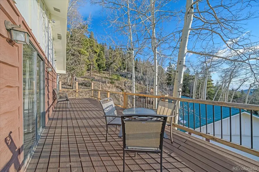66 Lodgepole Circle, Evergreen, CO 80439 - #3
