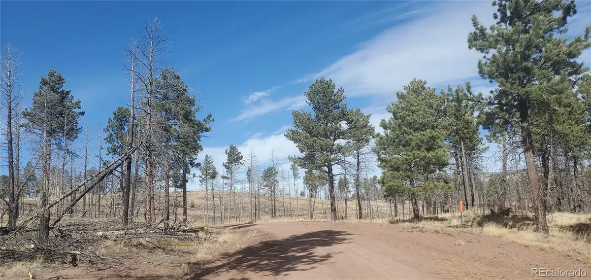 Lot 585 Leslie Loop, Fort Garland, CO 81133 - Image #1