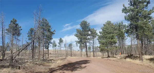 Lot 585 Leslie Loop, Fort Garland, CO 81133