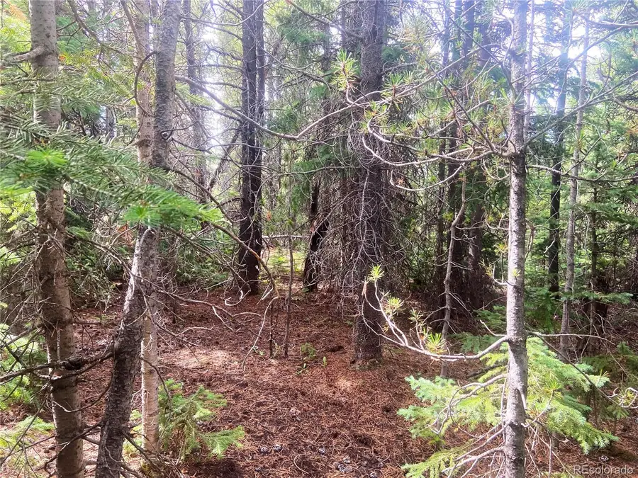 00 Fs 413.1, Black Hawk, CO 80422 - #3