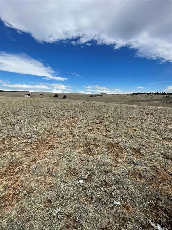 148 Grand Teton Drive, Hartsel, CO 80449