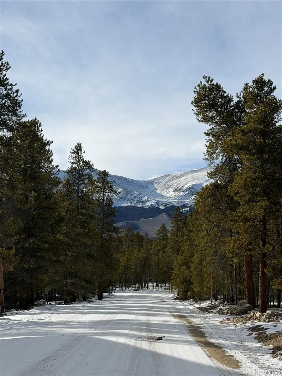 379 Peak View Drive, Leadville, CO 80461 - Image #2