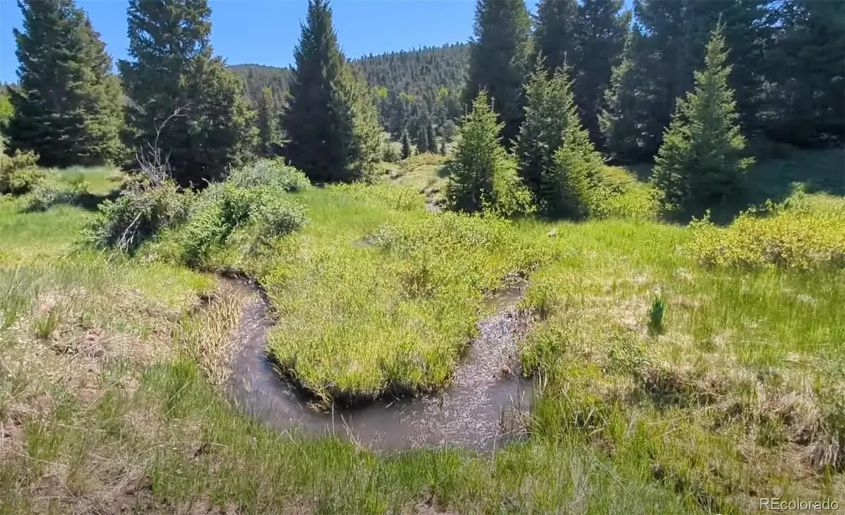 3119-3121 Segal Place, Fort Garland, CO 81133 - #1