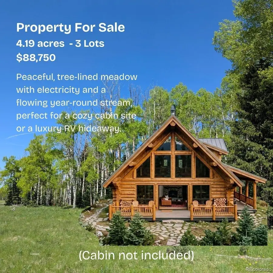 3119-3121 Segal Place, Fort Garland, CO 81133 - #2