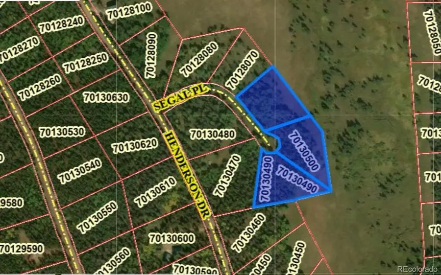 3119-3121 Segal Place, Fort Garland, CO 81133 - #3