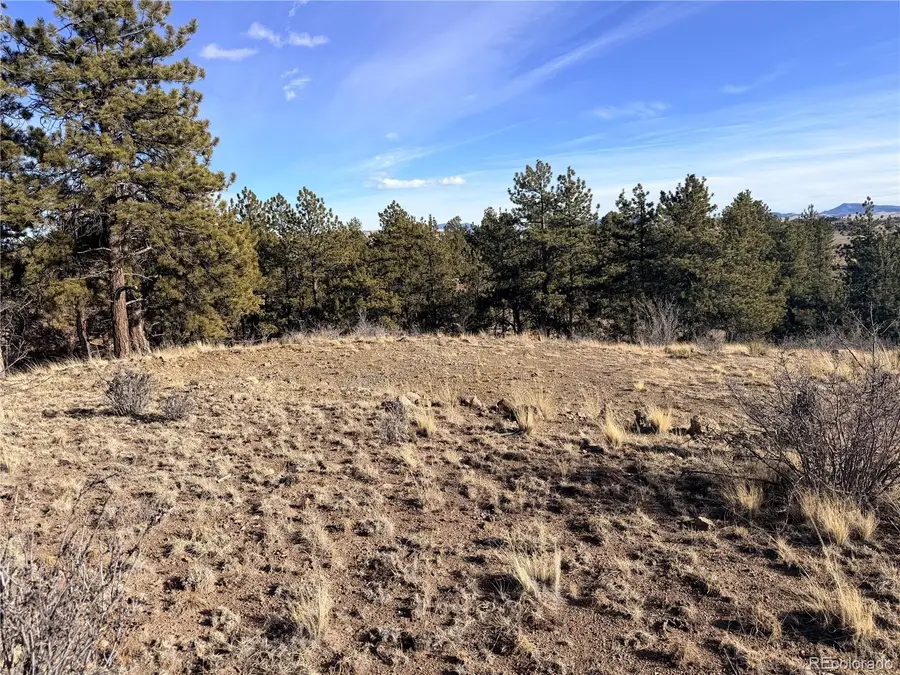 729 Bridle Path, Hartsel, CO 80449 - Image #2