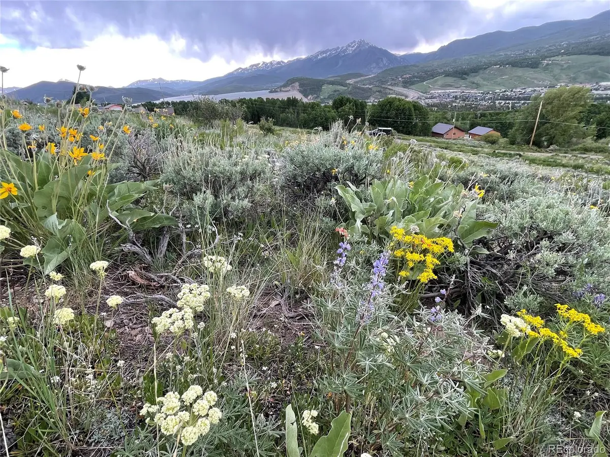 371 Z Road, Silverthorne, CO 80498 - #1