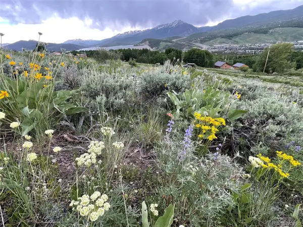 371 Z Road, Silverthorne, CO 80498