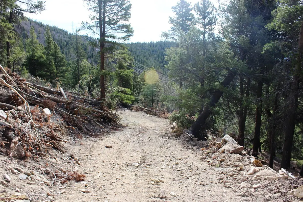 4-1 Lamertine Road, Idaho Springs, CO 80452 - #1