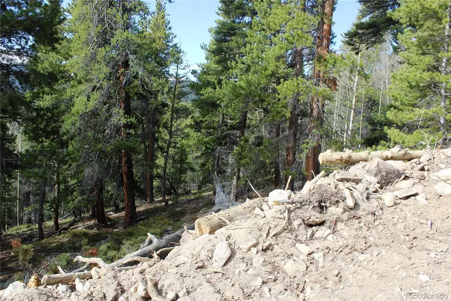 4-1 Lamertine Road, Idaho Springs, CO 80452 - #2