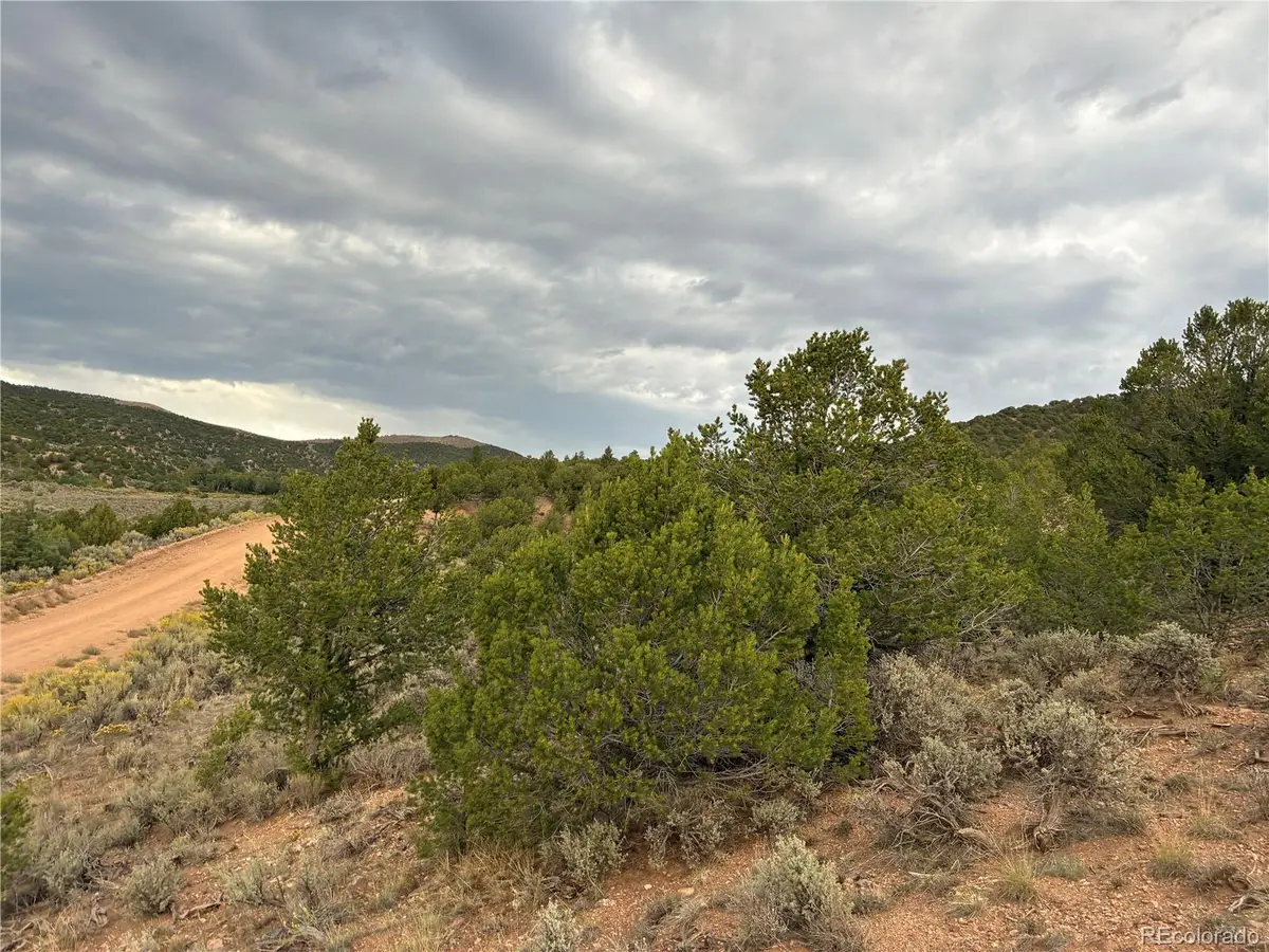 LOT 7583 Mallot Road, Fort Garland, CO 81133 - #1