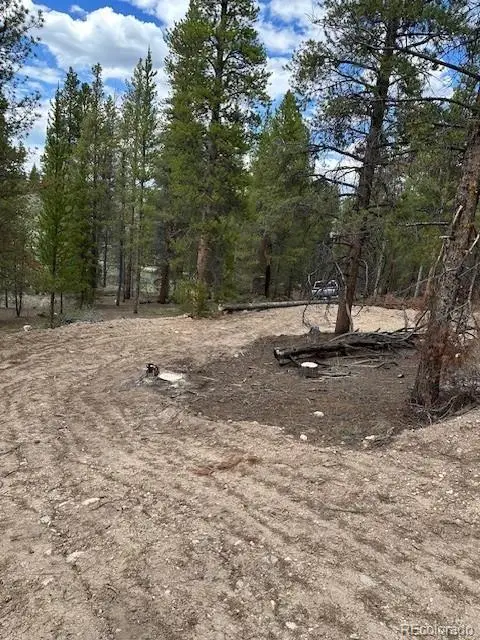 123 Lodgepole Drive, Leadville, CO 80461