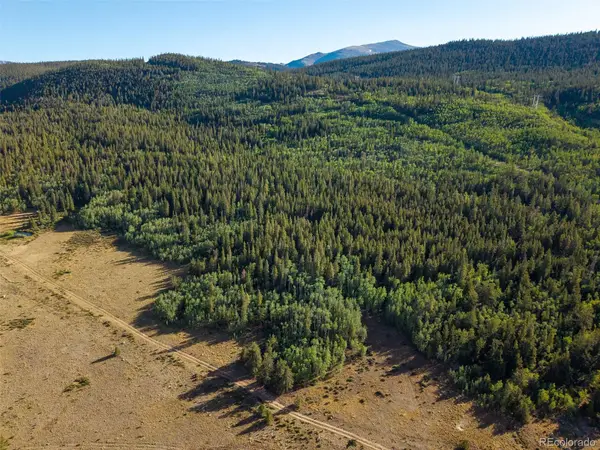 Lot 1 Snow Cap Peaks Road, Alma, CO 80440