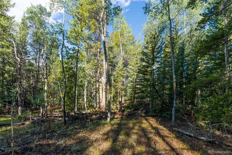 Lot 1 Snow Cap Peaks Road, Alma, CO 80440 - #3