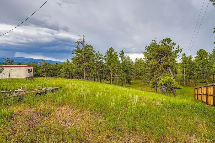 272 Calle Del Sol, Florissant, CO 80816 - #3