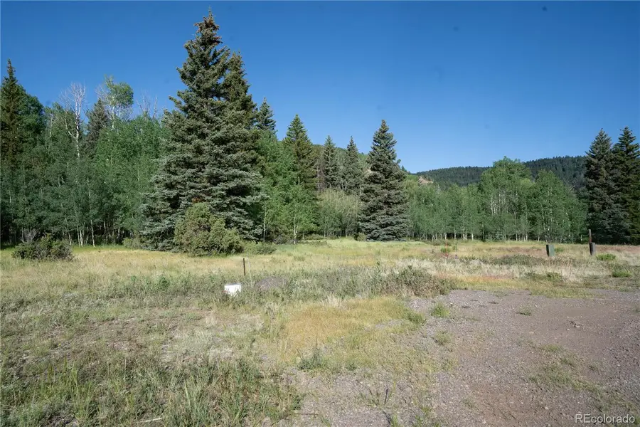 42 W Peregrine, Antonito, CO 81120 - #2