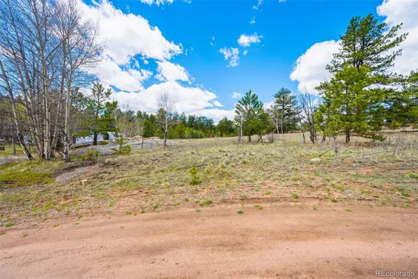 121 Bridle Lane, Florissant, CO 80816
