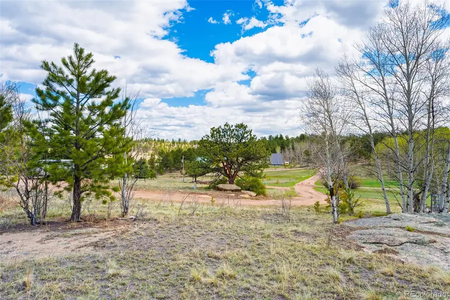 121 Bridle Lane, Florissant, CO 80816 - #2