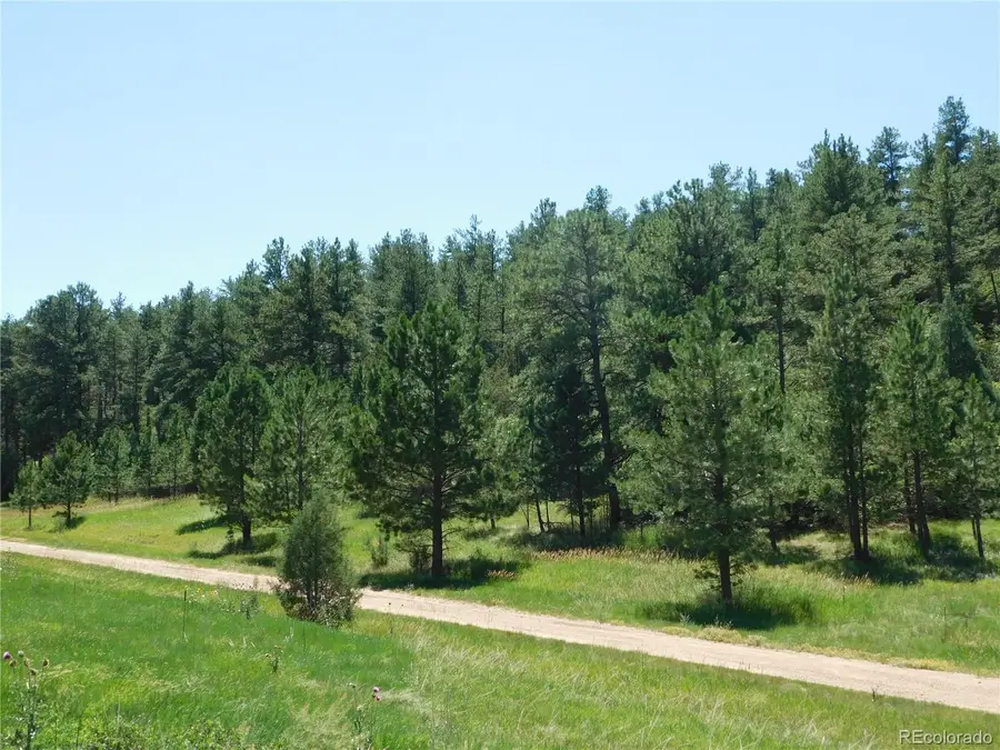 4668 Comanche Drive, Larkspur, CO 80118 - #2