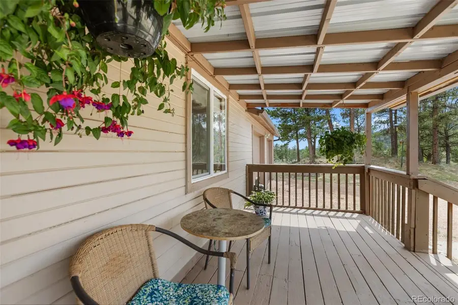 251 Surrey Lane, Florissant, CO 80816 - #2