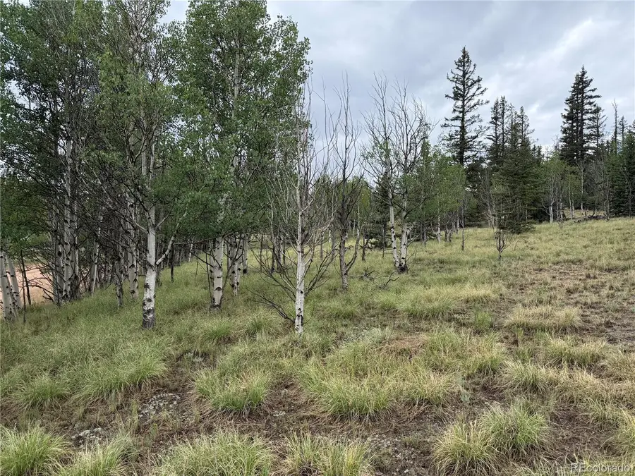 383 Spearpoint Road, Como, CO 80456 - #2