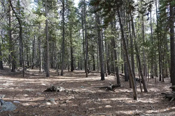 000 Loch Lomond Rd & Vista Rd, Idaho Springs, CO 80452