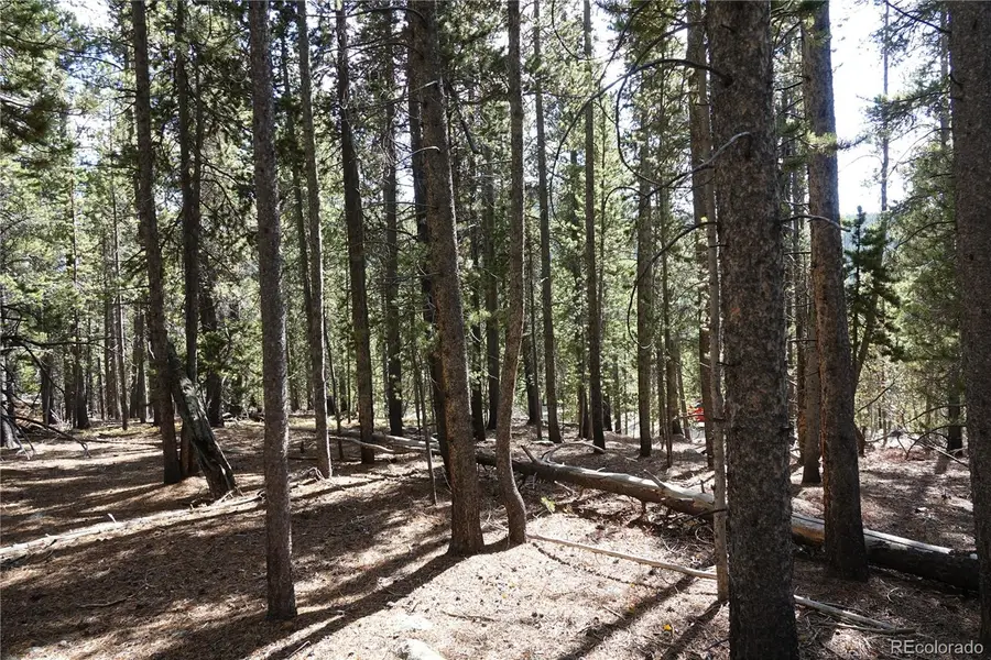 000 Loch Lomond Rd & Vista Rd, Idaho Springs, CO 80452 - #2