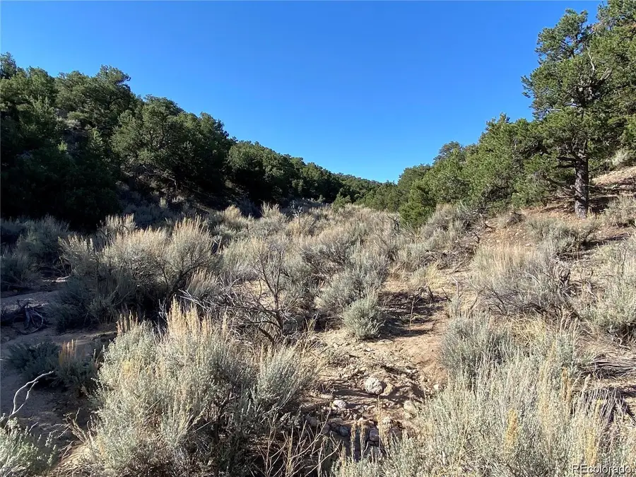 000 Austin Road, Fort Garland, CO 81133 - Image #3