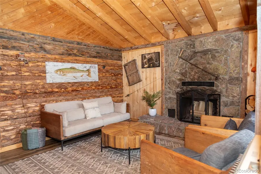 1001 Cr 17, Lake City, CO 81235 - #3