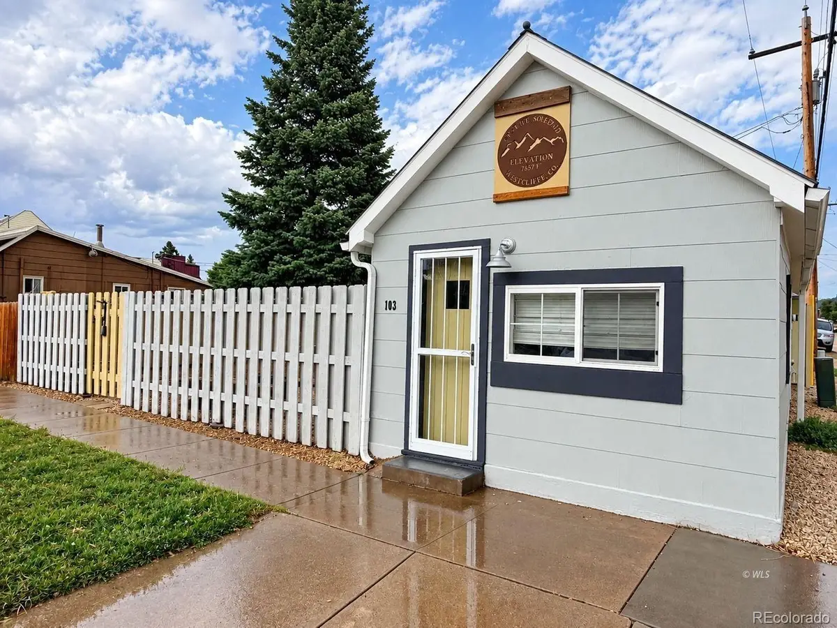 103 S 3rd Street, Westcliffe, CO 81252 - #1