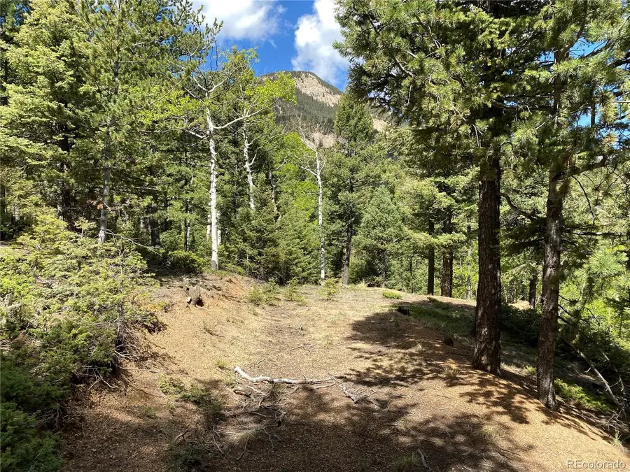 210 Waterfall Loop, Manitou Springs, CO 80829 - Image #3