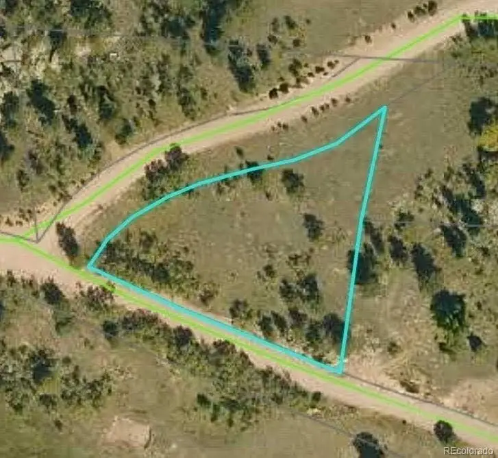 5265 County Rd 100, Florissant, CO 80816 - #2