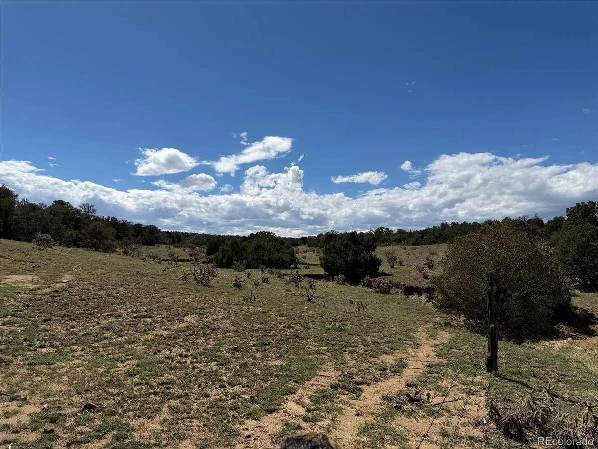 Lots 81a & 101 Twin Lakes Ranch, Walsenburg, CO 81089 - #1