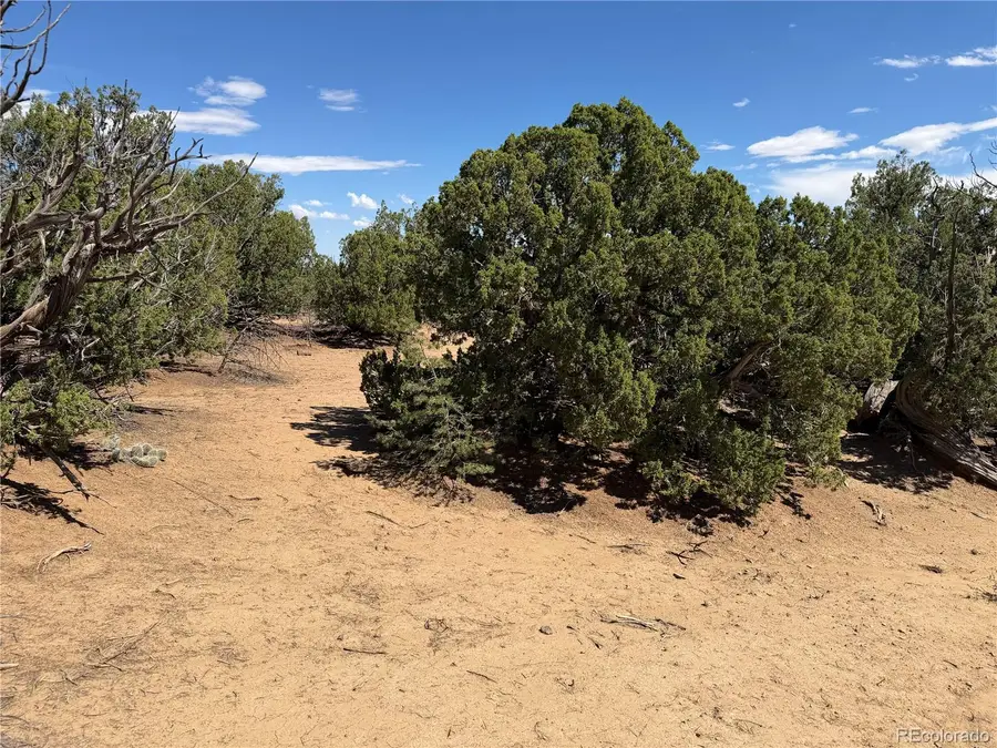 Lots 81a & 101 Twin Lakes Ranch, Walsenburg, CO 81089 - #2