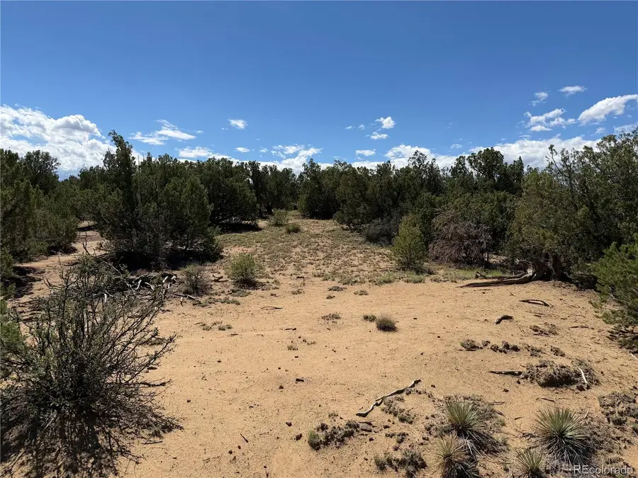 Lots 81a & 101 Twin Lakes Ranch, Walsenburg, CO 81089 - #3