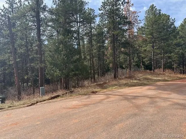 8169 Bannock Drive, Larkspur, CO 80118 - #1