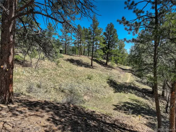 000 Hayden Ridge Road, Evergreen, CO 80439