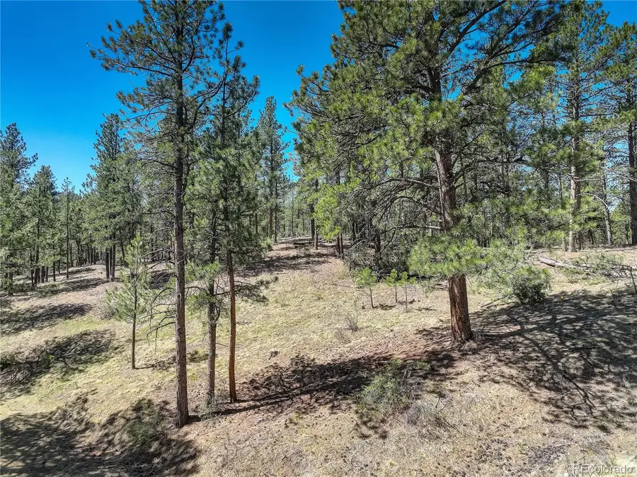 000 Hayden Ridge Road, Evergreen, CO 80439 - #2