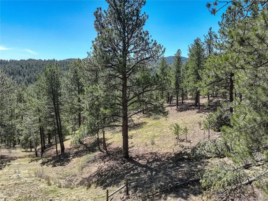 000 Hayden Ridge Road, Evergreen, CO 80439 - #3
