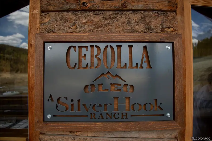 1001 Cr 17 Cebolla Cabin, Lake City, CO 81235 - #3