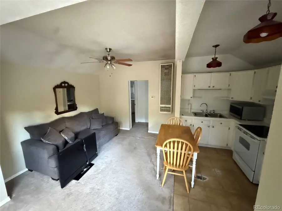 2016 Riverside Drive, Idaho Springs, CO 80452 - #3