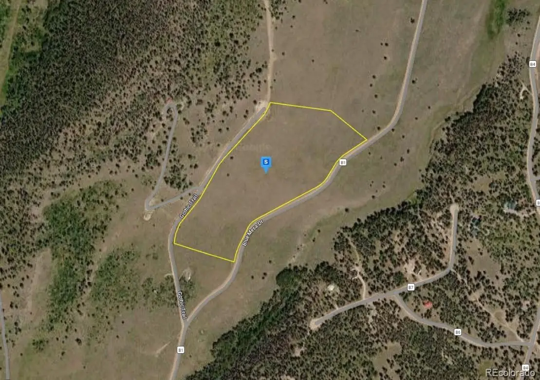 220 Gothic Trail, Powderhorn, CO 81243 - #1