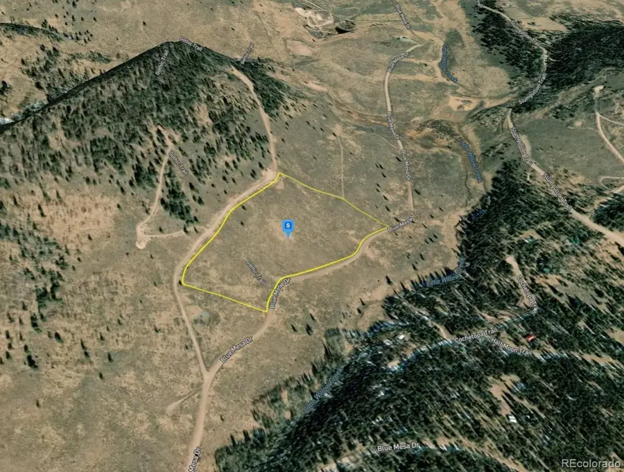 220 Gothic Trail, Powderhorn, CO 81243 - #2