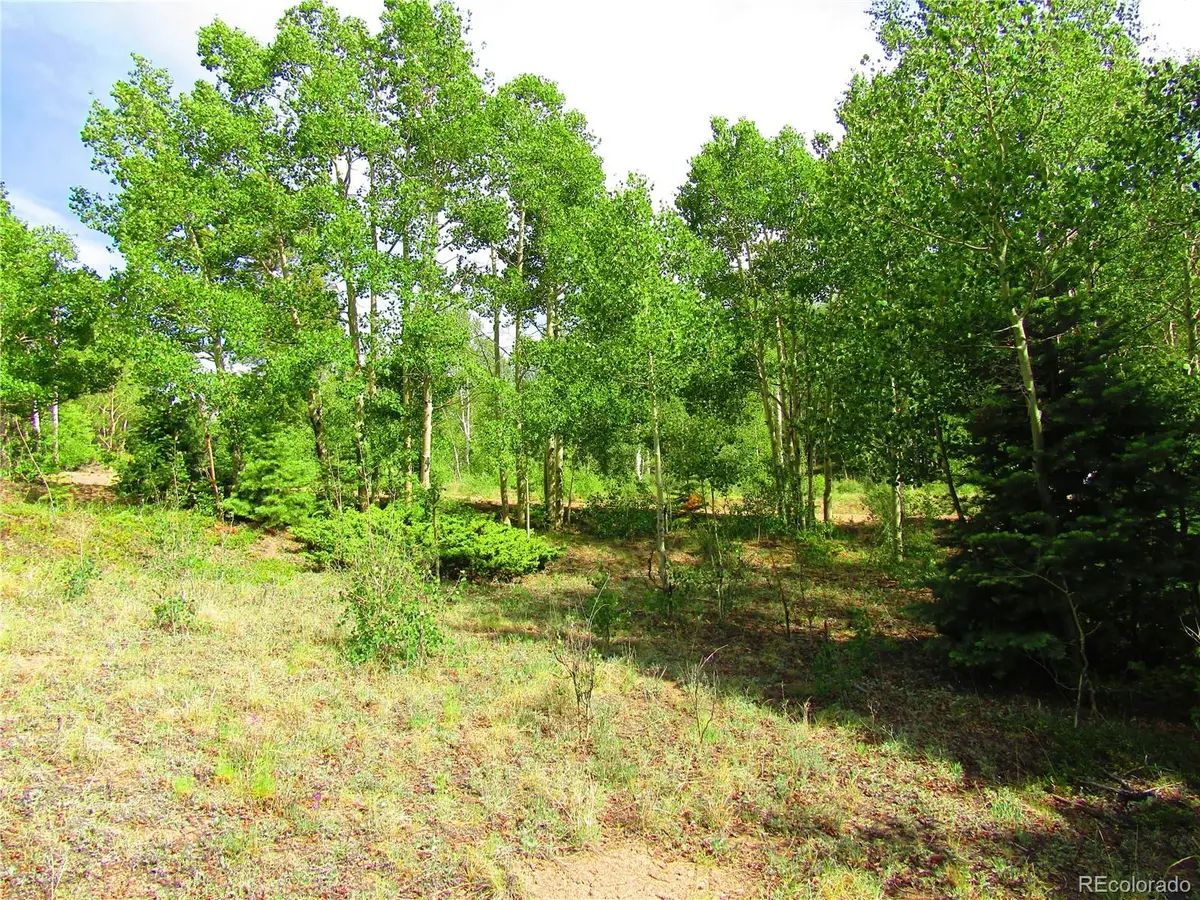 LOT 6093 Forbes Road, San Luis, CO 81152 - #1