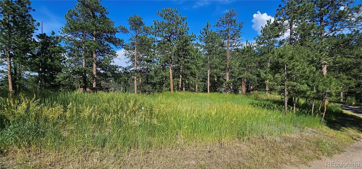 27903 Pine Drive, Evergreen, CO 80439 - #1