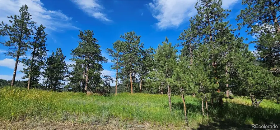 27903 Pine Drive, Evergreen, CO 80439 - #3