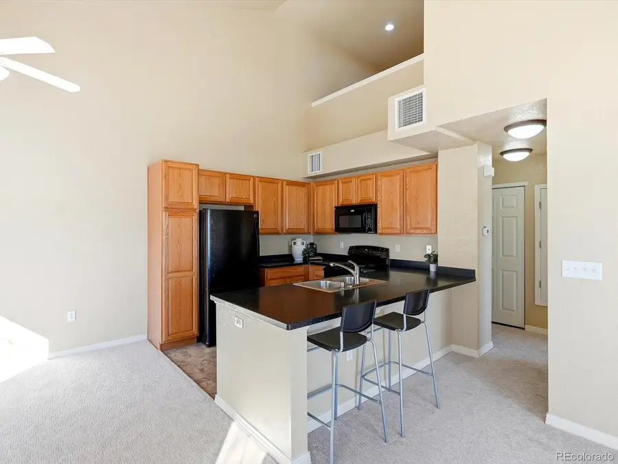 9585 Pearl Circle #203, Parker, CO 80134 - Image #3